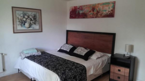 Departamento Arauco III